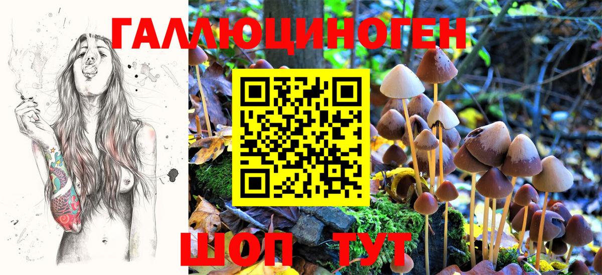 Галлюциногенные грибы Cubensis Урус-Мартан